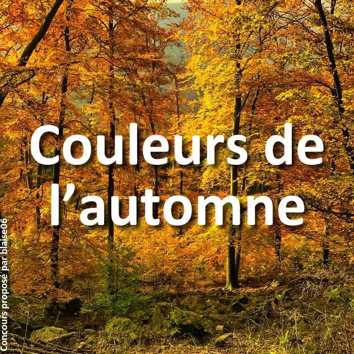 Concours Photo - Couleurs de l’automne