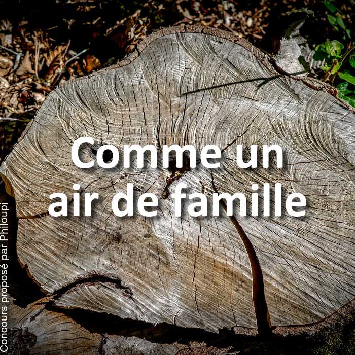 Concours Photo - Comme un air de famille