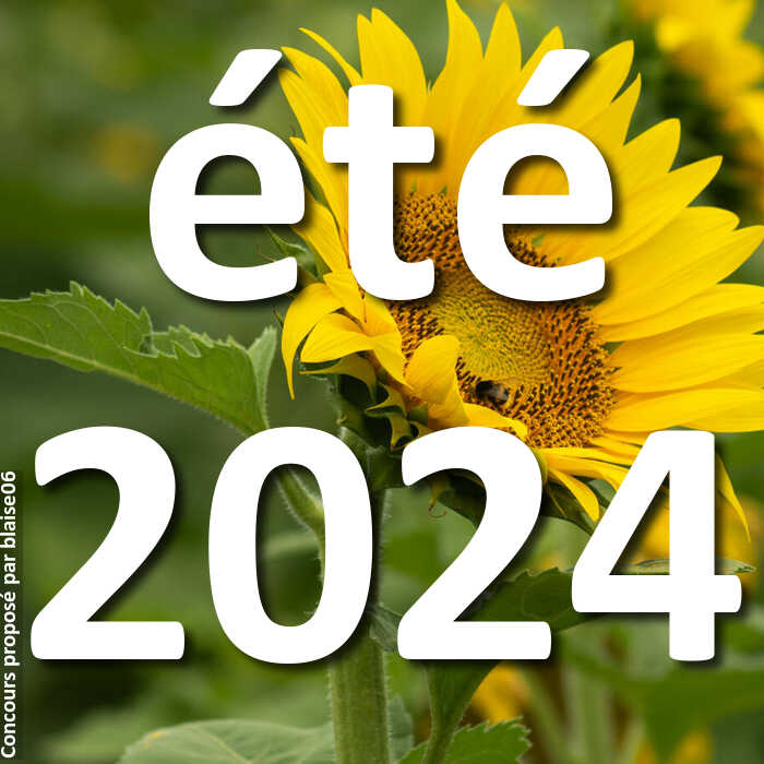 Concours Photo - été 2024