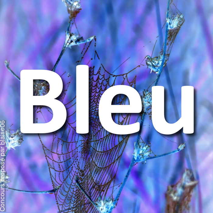 Concours Photo - Bleu