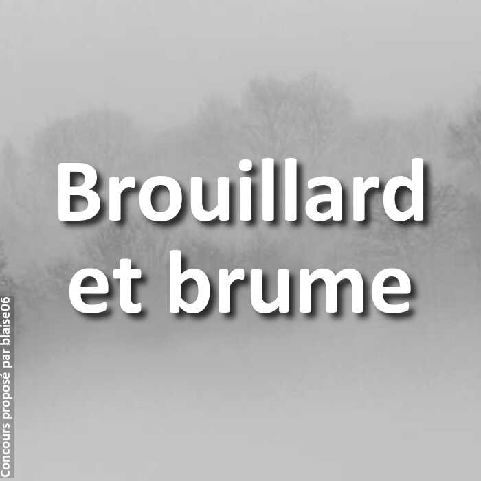 Concours Photo - Brouillard et brume