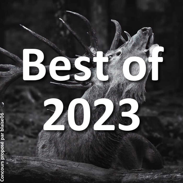 Concours Photo - Best of 2023