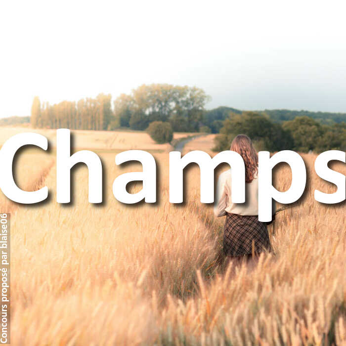 Concours Photo - Champs