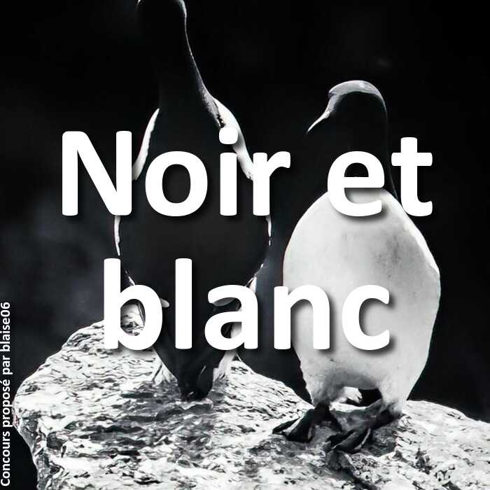 Concours Photo - Noir et blanc