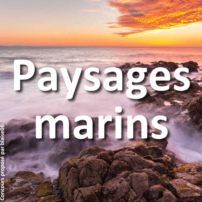 Concours Photo - Paysages marins