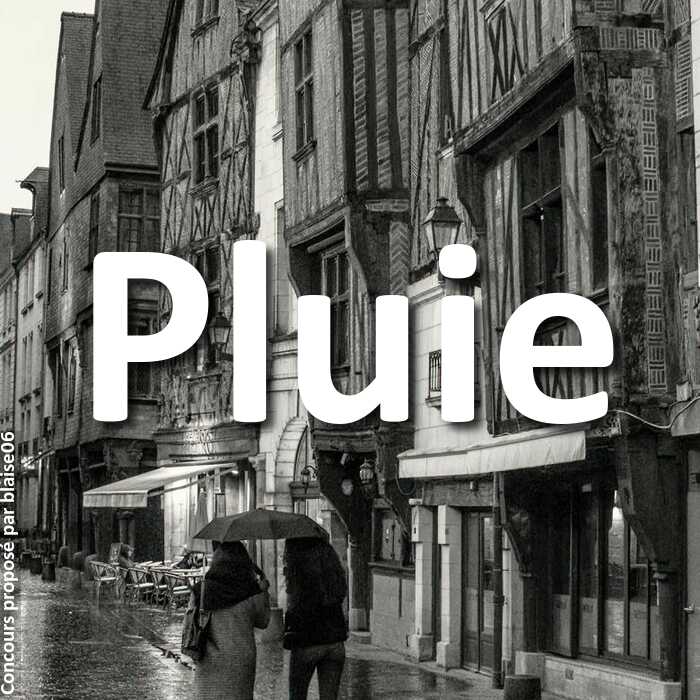 Concours Photo - Pluie