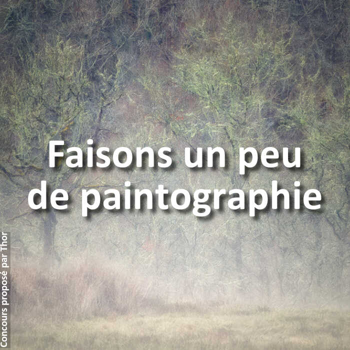 Concours Photo - Faisons un peu de paintographie