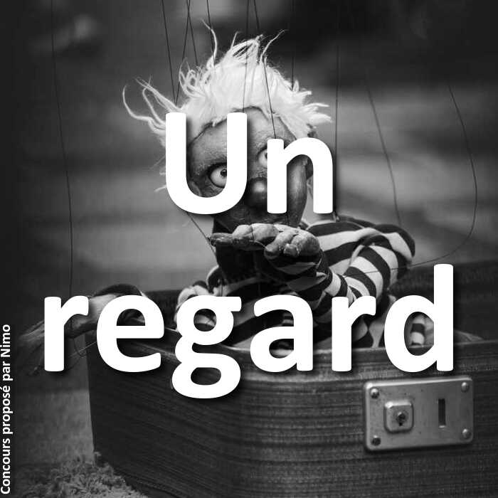 Concours Photo - Un regard