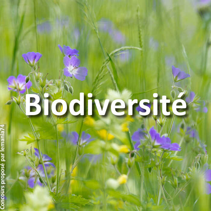 Concours Photo - Biodiversité