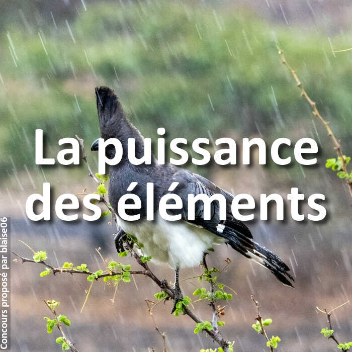 Concours Photo - La puissance des éléments