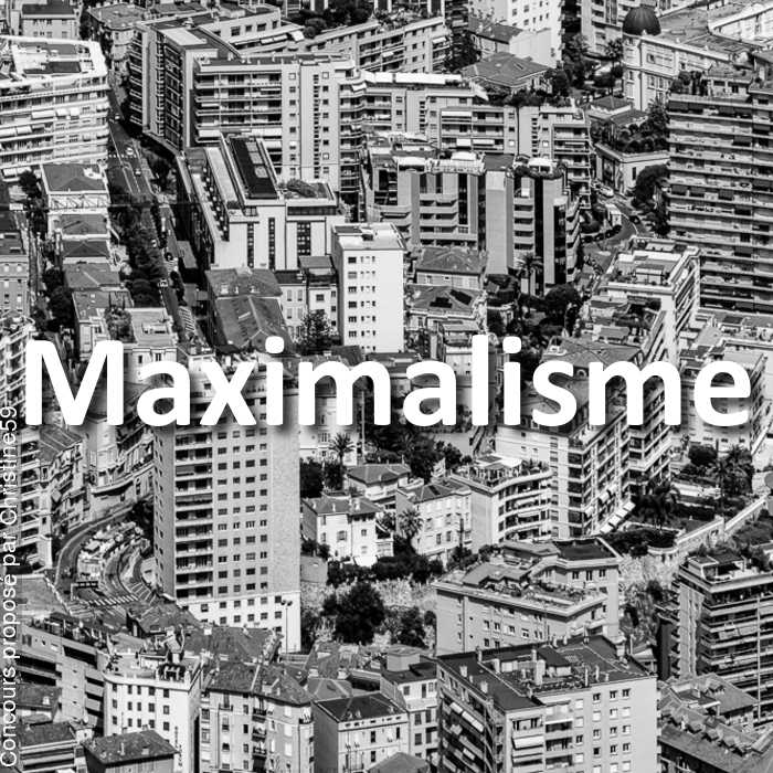 Concours Photo - Maximalisme