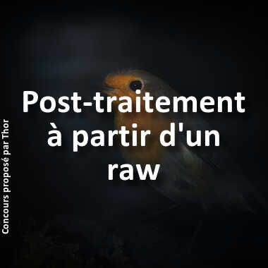Post-traitement à partir d'un raw