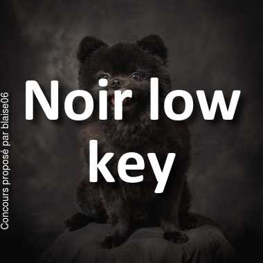 Noir low key