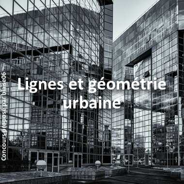 Lignes et géométrie urbaine