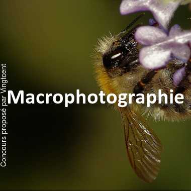 Macrophotographie