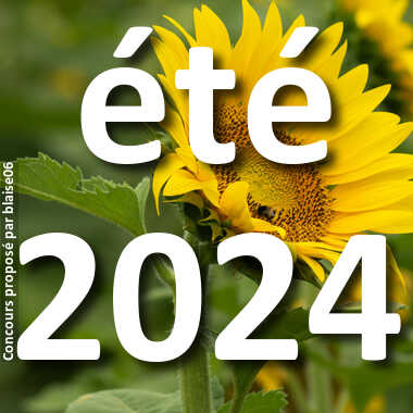 été 2024