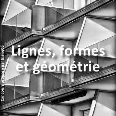 Lignes, formes et géométrie