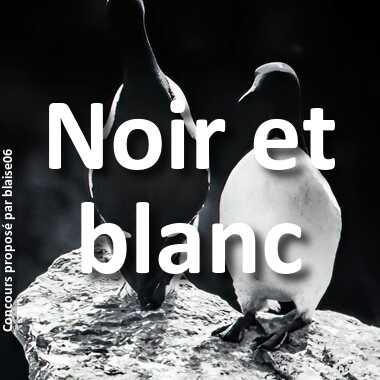 Noir et blanc