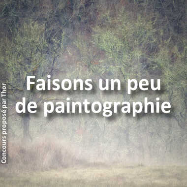 Faisons un peu de paintographie