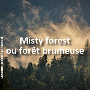 Misty forest ou forêt brumeuse