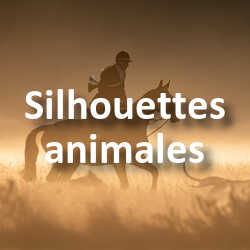 Concours Photo Silhouettes animales