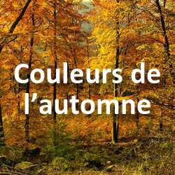 Concours Photo Couleurs de l’automne