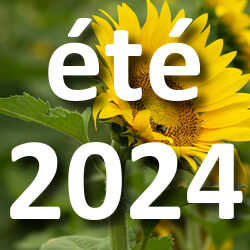 Concours Photo été 2024