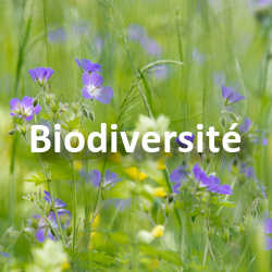 Concours Photo Biodiversité